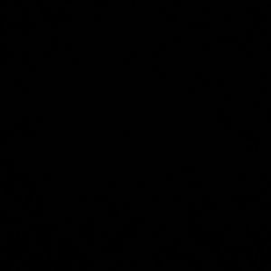 Meet your Posher, Connor